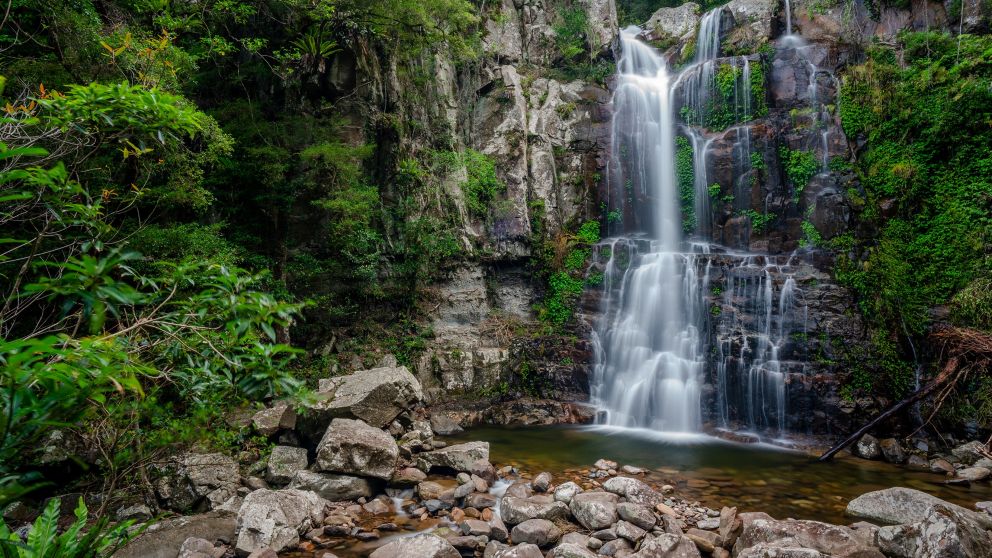 Jamberoo, South Coast things to do & more Visit NSW